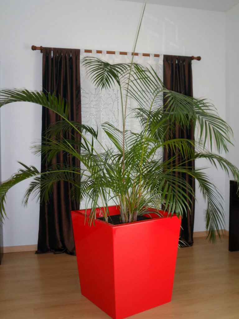 Pots De Fleurs